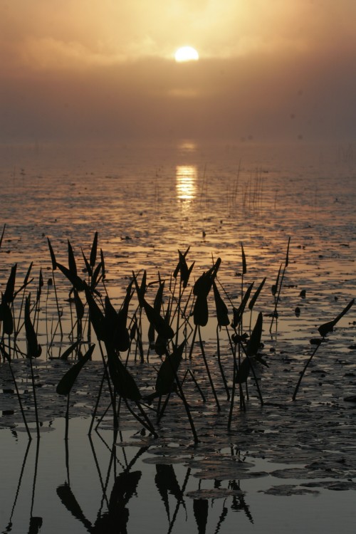 Sunrise over Otter Bay, Raquette Lake