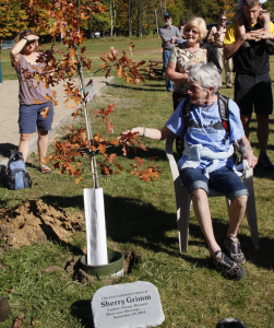 Sherry Grimm touches a leaf of the oak tree planted in her honor at Inlet's Fern Park