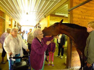 Dorothy Walker gets acquainted with one of the horses
