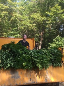 Town of Webb Police Officer Trevor Tormey and K9 Kimber with marihuana haul