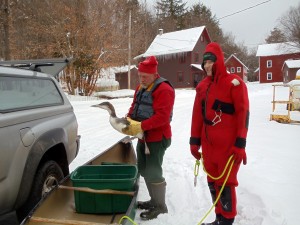 Myself with a rescued loon & Patrick Duffy in a Gumby suit
